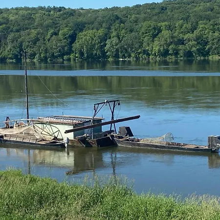 Les Roses De L'olivier *