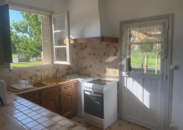 Les Roses De L'olivier *