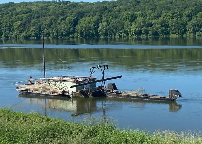 Les Roses De L'olivier *